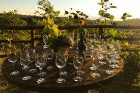 The tradition of winemaking (Half Day)